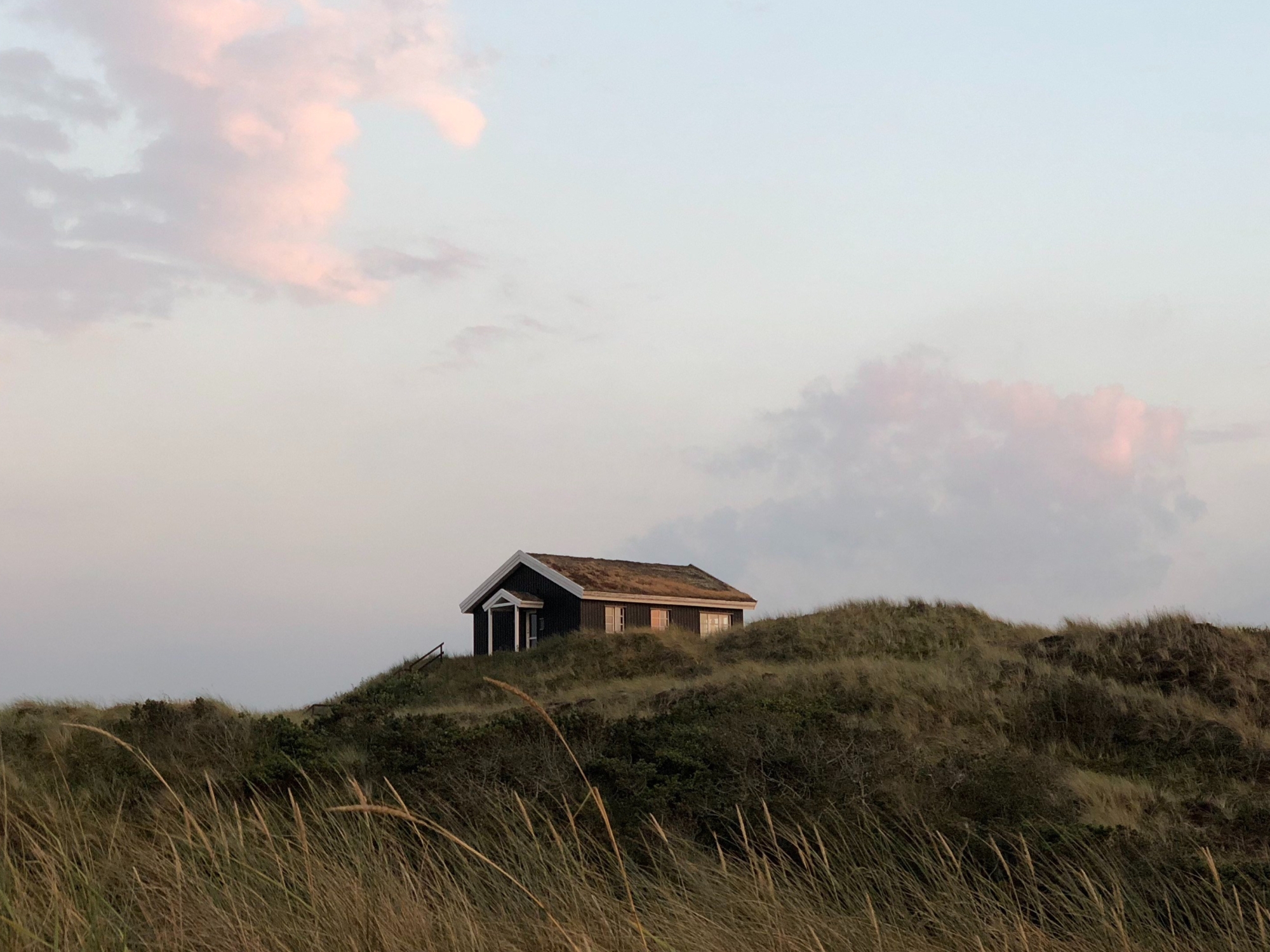 Nature-Houses-Skagen-in-Summer-giftofparis.com