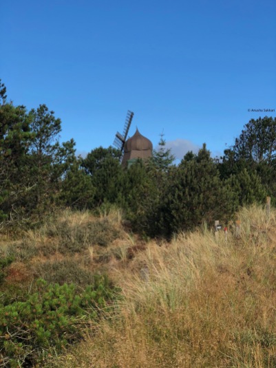 Windmill-Kandestederne-Skagen-in-Summer-giftofparis.com